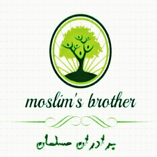 لوگوی کانال تلگرام moslimsbrother — ✴ بــرادران مســـلمــان ✴