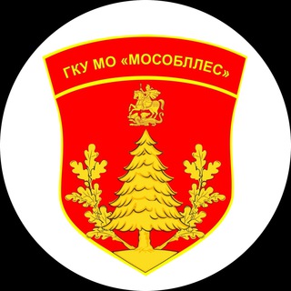 Логотип телеграм канала @mosoblles — ГКУ МО «Мособллес»