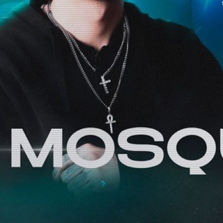 Логотип телеграм канала @mosquitfreshprince1 — MOSQUIT