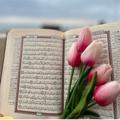 لوگوی کانال تلگرام motashabah — كتابًا متشابهًا 🤎