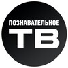 Логотип телеграм канала @motiv_kanall — Познавательно | Наука
