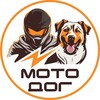 Логотип телеграм канала @moto_dog — МотоДог
