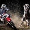 Логотип телеграм канала @moto_horse — Железный конь