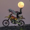 Логотип телеграм канала @motosilabro31 — MOTO EDIT | МОТОЦИКЛЫ | Мотокросс