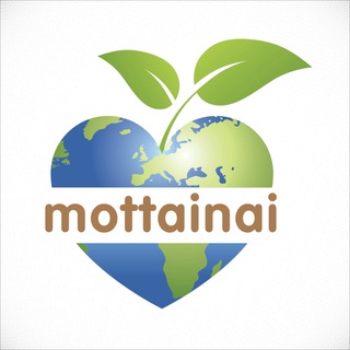 Логотип телеграм канала @mottainai_ru — MOTTAINAI