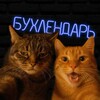 Логотип телеграм канала @motub_6yxatb — БУХЛЕНДАРЬ 🤙