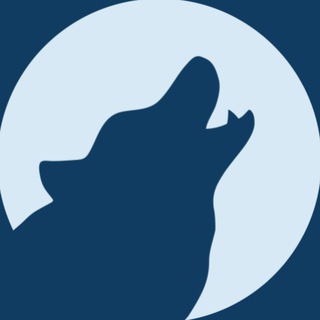 Logo des Telegrammkanals mountainwolfpayments - Mountain Wolf Official