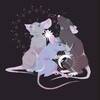 Логотип телеграм канала @mousewithraspberry — Долина трёх душ 🦋🌿🐁