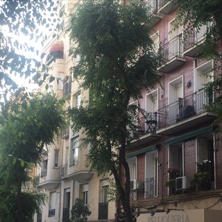 Логотип телеграм канала @moveabroad — Понаехали