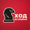 Логотип телеграм канала @moveshawk — Ход Ястребом