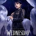 Logo saluran telegram movie4uenseries — Wednesday_Season1_ English Subtitles