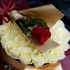 Логотип телеграм канала @moxlaroyim_gulim_1807 — 💐💐🤗МОХЛАРОЙИМ_ГУЛИМ💐💐💐