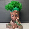 Логотип телеграм канала @moxprirodashishki — Мох-природа-шишки декор для дома, подарки
