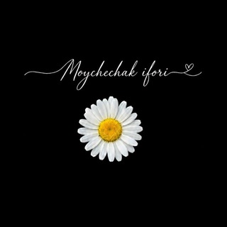 Telegram channel Moychechak_ifori logo