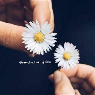 Telegram channel 🌼ᴍᴏʏᴄʜᴇᴄʜᴀɢɪᴍ🌼 logo