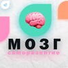 Логотип телеграм канала @mozgdevelopment — Мозг 🧠 | Саморазвитие