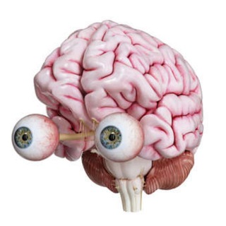 Логотип телеграм канала @mozginvest — Мозг Ящер Инвест 🐙