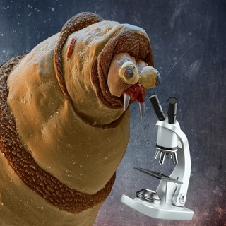 Логотип телеграм канала @mozgovertka — Микро|Макро|Мир