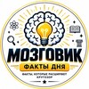 Telegram channel МОЗГОВИК - ФАКТЫ ДНЯ logo