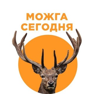 Логотип телеграм канала @mozhgatodey — Можга сегодня