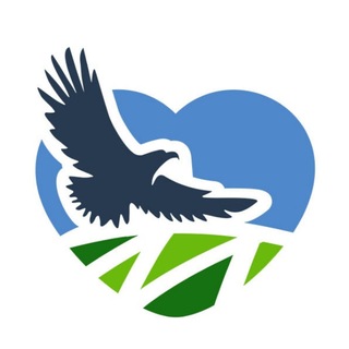 Telegram channel МОЗЫРЬ NEWS logo