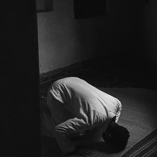 لوگوی کانال تلگرام mp4h_1 — مُطمئنّ بِذكر اللَّه ♡︎