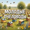 Telegram channel Молодые пчеловоды🐝 logo
