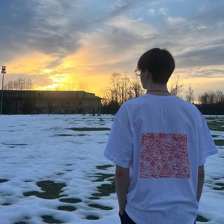 Логотип телеграм канала @mplatonov_19 — mplatonov19