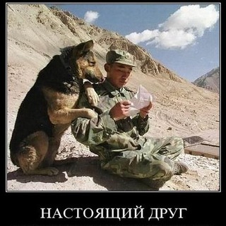 Логотип телеграм канала @mr_kript — Инфобизнес стиль жизни