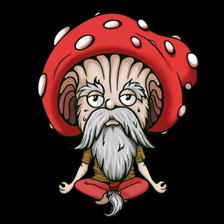 Логотип телеграм канала @mr_muxomor — Mr. Мухомор | Микродозинг и пробуждение сознания🧠