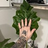 Логотип телеграм канала @mr_plants — Mr. Plants 🪴
