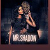 टेलीग्राम चैनल का लोगो mr_shadow_pfm — Mr. Shadow Pocket Fm