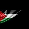 Logo of telegram channel mribrahimsaleh — Mr. Ibrahim Saleh