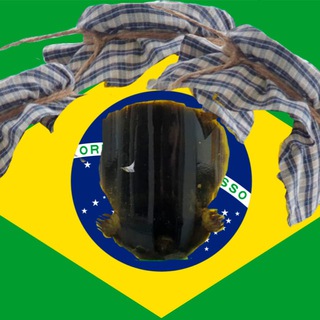 Логотип телеграм канала @mrimrs — Notícias Do Brasil