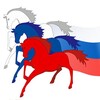 Логотип телеграм канала @mrossiya — Мнение россиянина