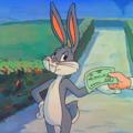 Logotipo del canal de telegramas mrrabbit827 - Mr Rabbit Billetes