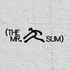 Логотип телеграм канала @mrsum25 — MR.SUM: ОТ СЕБЯ НЕ УБЕЖИШЬ