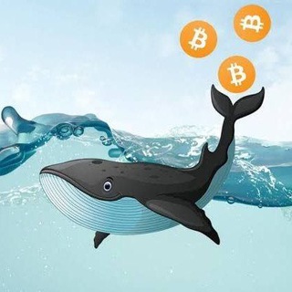 Logo of telegram channel mrwhale_crypto — Mr Whale Crypto