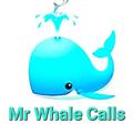Logo saluran telegram mrwhalecalls — Mr Whale Calls ETH-BSC-ARB