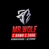 Логотип телеграм канала @mrwolfekb — МИСТЕР ВУЛЬФ