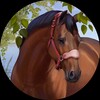 Telegram channel MSBEESA logo