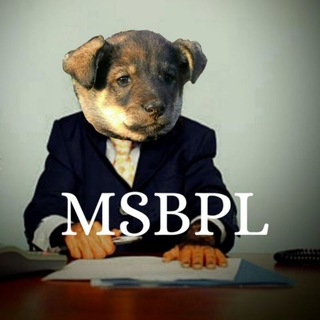 Логотип телеграм -каналу msbpl — MSBPL