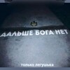 Логотип телеграм канала @mshara_zelenaya — Мшара зелёная 𓍊𓆏⨳