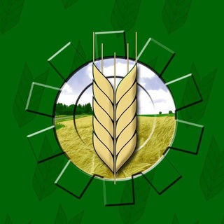 Логотип телеграм канала @mshkubani — Минсельхоз Краснодарского края