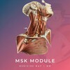 شعار قناة تلجرام msk_module — Musculoskeletal (Locomotor) | MW