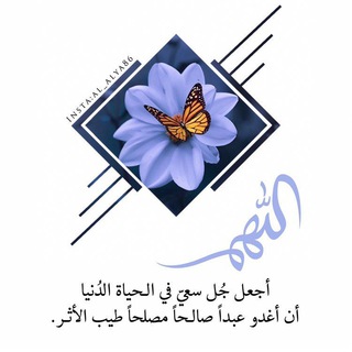 لوگوی کانال تلگرام mskalketaam1995 — 💙رضا الرحمن غايتي💙