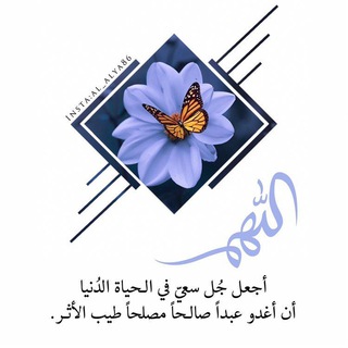 لوگوی کانال تلگرام mskalketaam1995 — 💙رضا الرحمن غايتي💙