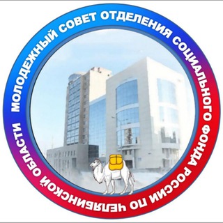 Логотип телеграм канала @msopfrchelobl — Молодежный Совет Отделения СФР по Челябинской области