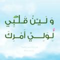 Telegram channel الـشـابُ الـرِسَـالـيّ🌸🌿 logo