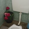 Логотип телеграм канала @mu3chacha — бредни сумасшедшего